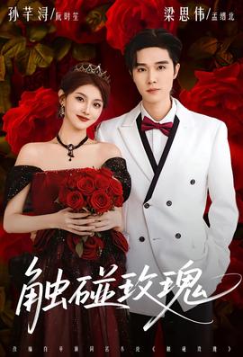 触碰玫瑰 全集(大结局)