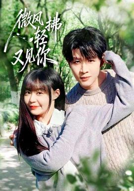 微风轻拂又见你 全集(大结局)