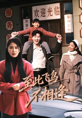 到此飞鸟不相逢 全集完结(大结局)