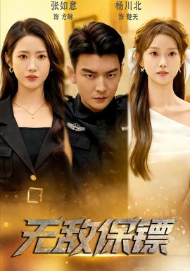 无敌保镖 全集(大结局)